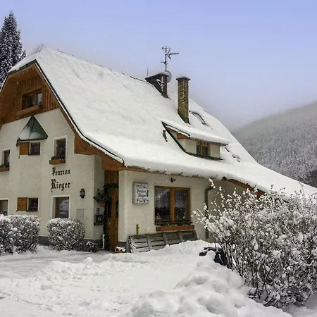 Daire Rieger 3 By Interhome Harrachov